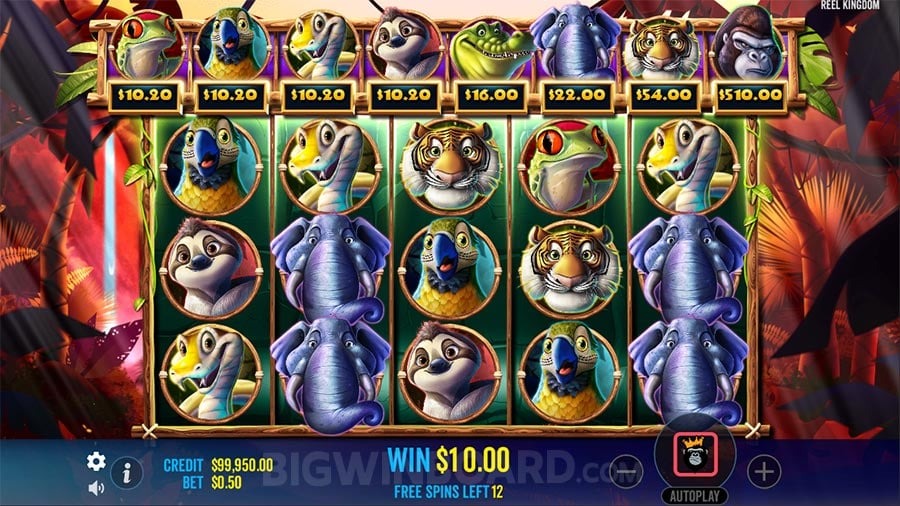 Jumbo Safari