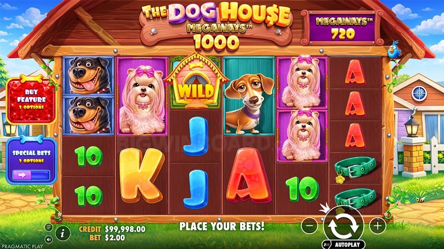 Lucky Cola Com - Explore Top Casino Games and Rewards